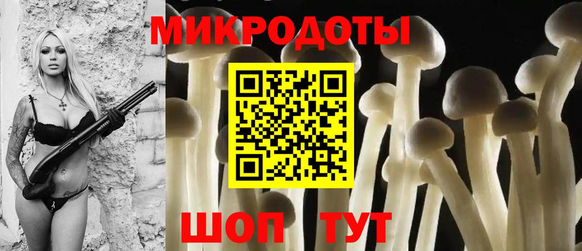 Псилоцибиновые грибы Psilocybine cubensis Солнечногорск